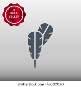 Feather Vector Icon Illustration