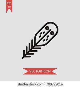 Feather vector icon illustration symbol