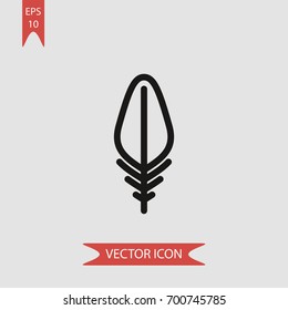 Feather vector icon illustration symbol