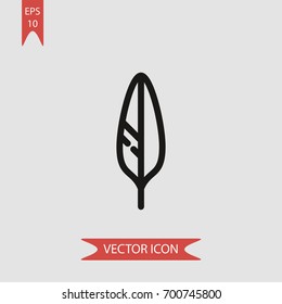 Feather vector icon illustration symbol