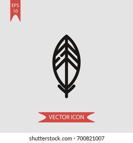 Feather vector icon illustration symbol