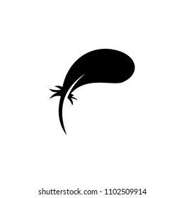 Feather vector icon isolated on white background