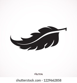 	
Feather vector icon isolated on white background