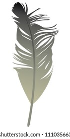 Feather. Vector illustration.