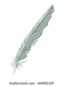 feather vector illustration