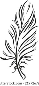 feather vector illustration art design