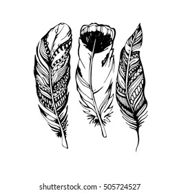 feather vector illustration art icon quill symbol