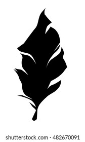 Feather vector illustration design, silhouette vector feather