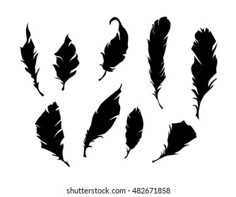 Feather Vector Illustration Design Silhouette Vector Stock Vector 