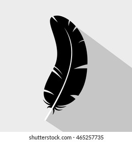 Feather.  Vector Illustration. eps10