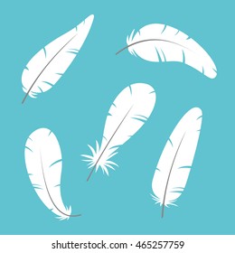 Feather.  Vector Illustration. eps10