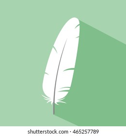 Feather.  Vector Illustration. eps10