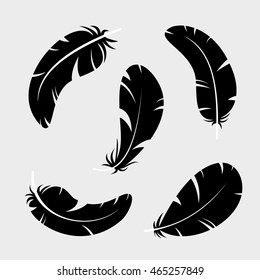 Feather.  Vector Illustration. eps10