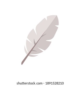 Feather vector illustration, isolated on white background