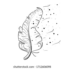 Feather vector illustration on white background.