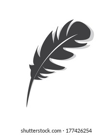 feather Vector  illustration on white background