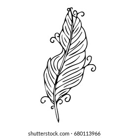 Feather vector illustration on white background. Doodle style. Design icon, print, logo, poster, symbol, decor, textile, paper, card. 