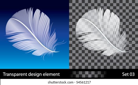 Feather, vector illustration with transparent effect.  EPS (10) file included.