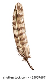 feather vector illustration,  tribal ethnic vector illustration
