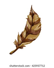 feather vector illustration,  tribal ethnic vector illustration
