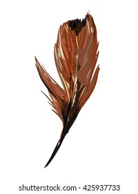 feather vector illustration,  tribal ethnic vector illustration
