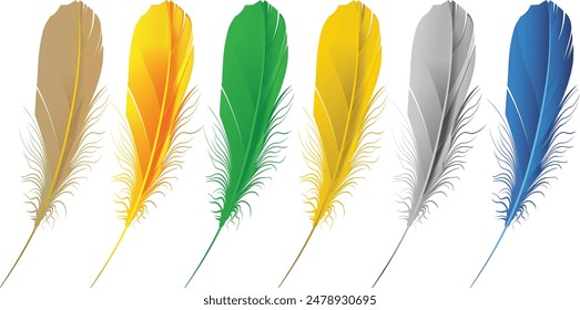 feather vector illustration for t-shirt