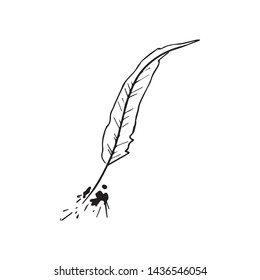 feather vector image, bird graphic, nature object, handwriting symbol