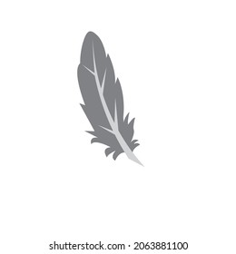 feather vector image or illustration or vector image