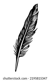 Feather - Vector Ink Drawing, Black And White, Hand Drawn Crow Feather