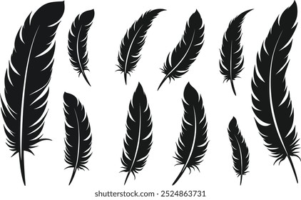 Feather vector silhouette images art illustration