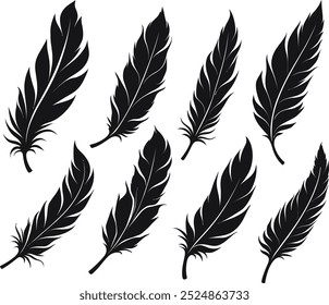 Feather vector silhouette images art illustration