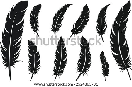 Feather vector silhouette images art illustration