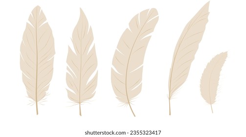 Ilustración del material vector de plumas. Ángel. Ligero, sin peso, suave. Aislado sobre un fondo blanco.