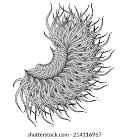 Feather. Vintage decorative elements. Hand drawn background. Islam, Arabic, Indian, ottoman motifs.