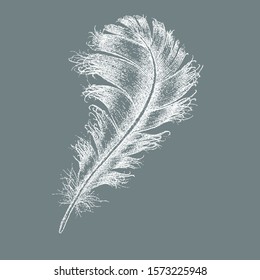 feather white print for fabrics for pillows and blankets, vector pattern on a gray background