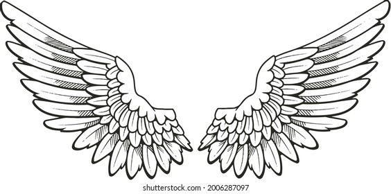 feather wing illustration design art