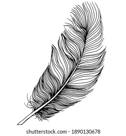 Feather from wing isolated. Isolated illustration element. Vector feather for background, texture, wrapper pattern, frame or border.