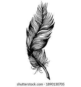 Feather from wing isolated. Isolated illustration element. Vector feather for background, texture, wrapper pattern, frame or border.