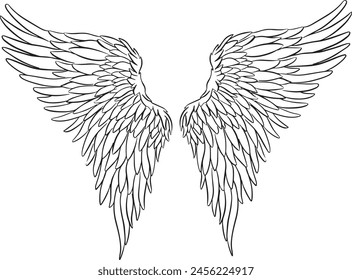 Alas de pluma en forma de Ángel o Dragón Ilustración en Vector