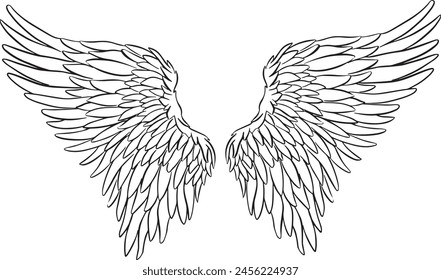 Feather Wings in the form of Angel or Dragon Illustration in Vector