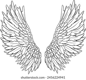 Alas de pluma en forma de Ángel o Dragón Ilustración en Vector