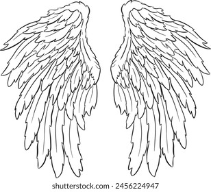 Feather Wings in the form of Angel or Dragon Illustration in Vector