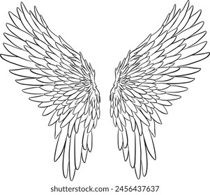 Feather Wings in the form of Angel or Dragon Illustration in Vector