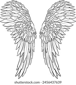 Feather Wings in the form of Angel or Dragon Illustration in Vector