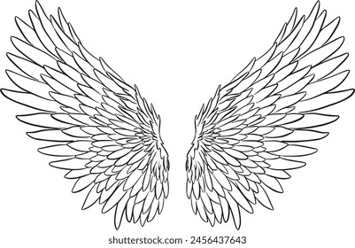 Feather Wings in the form of Angel or Dragon Illustration in Vector