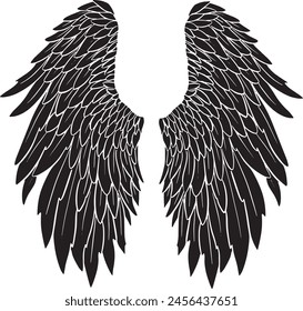 Feather Wings in the form of Angel or Dragon Illustration in Vector