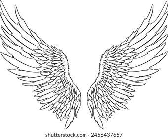 Feather Wings in the form of Angel or Dragon Illustration in Vector