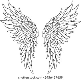 Feather Wings in the form of Angel or Dragon Illustration in Vector