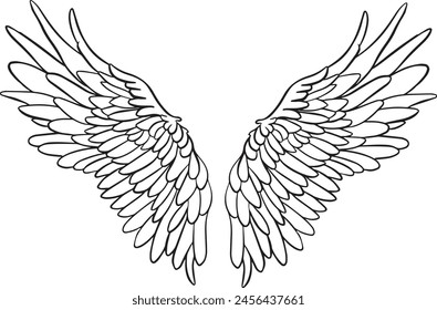 Feather Wings in the form of Angel or Dragon Illustration in Vector