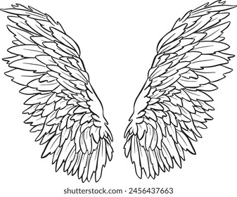 Feather Wings in the form of Angel or Dragon Illustration in Vector